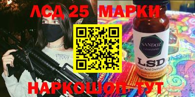 индика Моздок