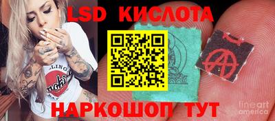 прущие грибы Можайск