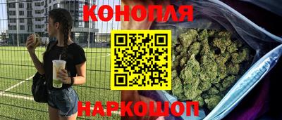 индика Моздок