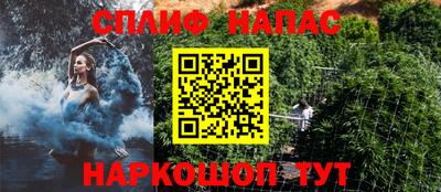 прущие грибы Можайск