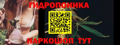 прущие грибы Можайск