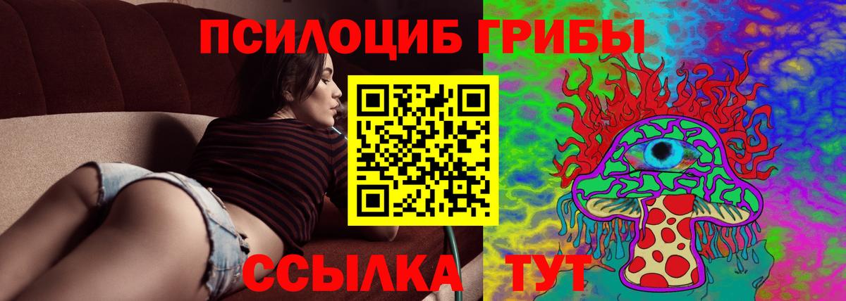 Галлюциногенные грибы Cubensis  Псилоцибиновые грибы мухоморы  Сосновоборск  Вход с VPN 